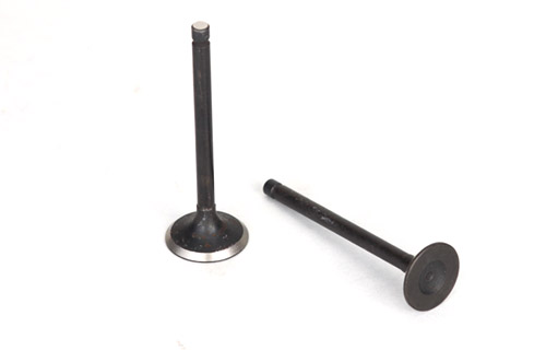 Engine Valve & Flanch