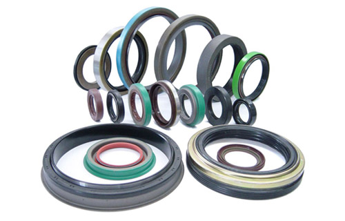 Oil Seals & O Rings